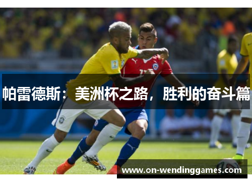 帕雷德斯：美洲杯之路，胜利的奋斗篇