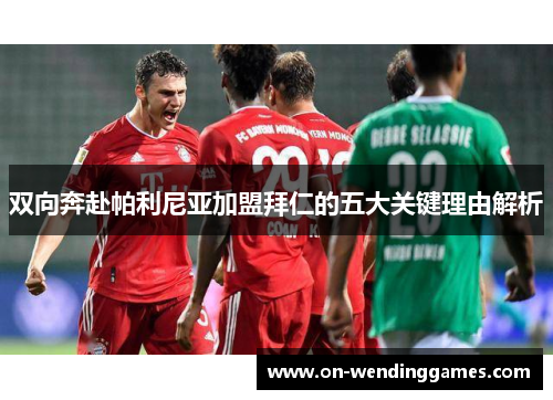 双向奔赴帕利尼亚加盟拜仁的五大关键理由解析