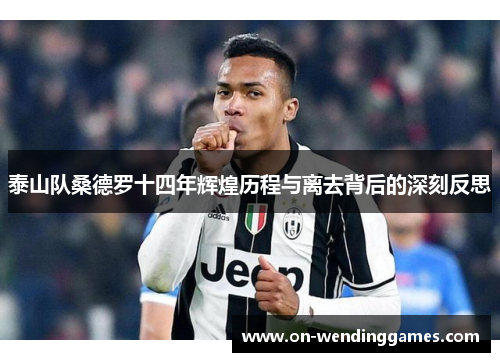 泰山队桑德罗十四年辉煌历程与离去背后的深刻反思