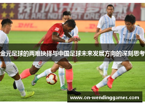 金元足球的两难抉择与中国足球未来发展方向的深刻思考