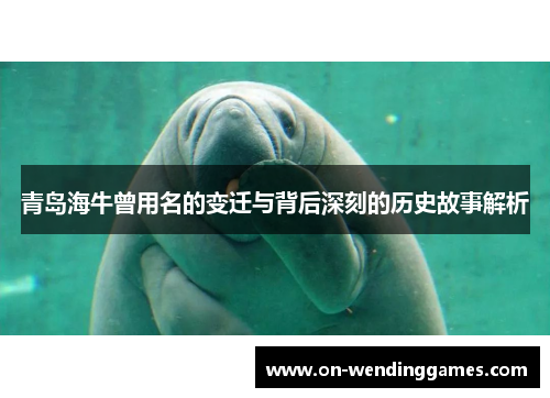 青岛海牛曾用名的变迁与背后深刻的历史故事解析